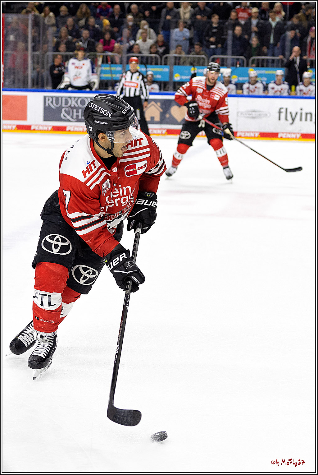 PENNY DEL;  Kölner Haie - Nuernberger Ice Tigers; Köln, 18.11.2022